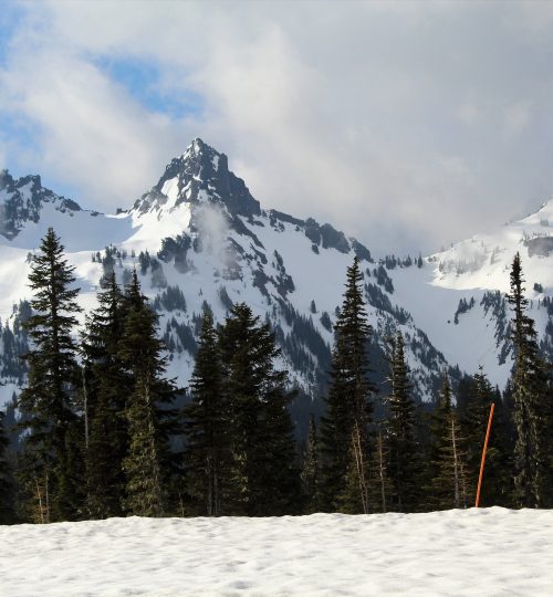 Rainier NP