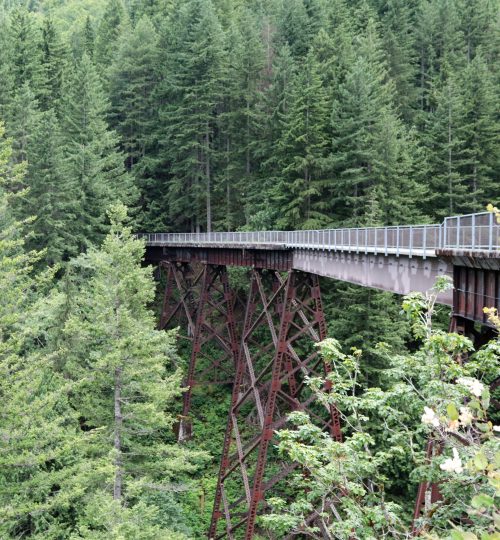 Train Track
